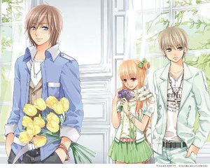 日韩砖码砖专一2023免费